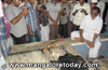 Thieves make futile bid to loot  house at Vittal  ; give locals a slip